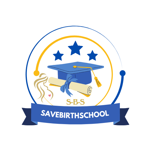 Plateforme e-learning savebirthschool
